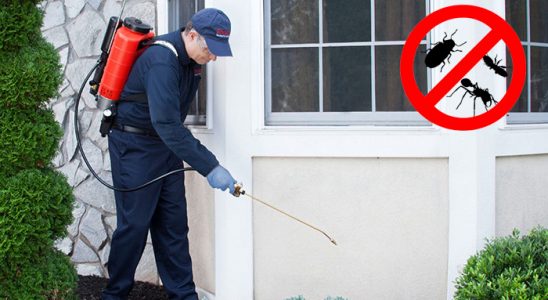 Çemişgezek Bit İlaçlama böcek ilaçlama ve haşere kontrolü — ilaclama-tr.com